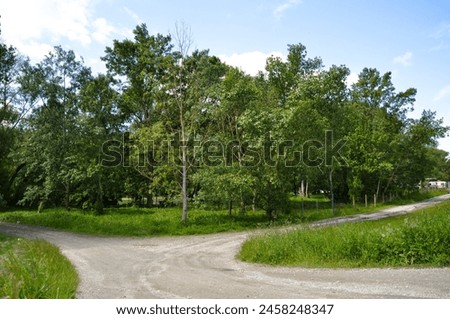 landscape photo vrom south Slovakia in springtime 2024