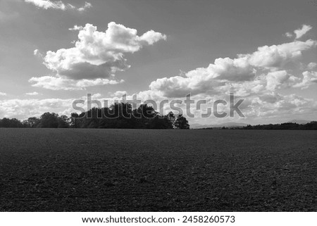 Black and white landscape, a large field, on the horizon of trees and beautiful sky with white clouds, countryside, outdoor, natural background for text