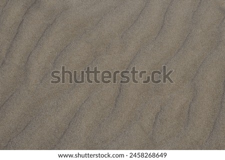 clean and soft virgin sand beach in summer time