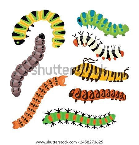 Set of Bright Caterpillars as Larval Stage of Insect Crawling and Creeping Vector Set, Worm larva insects butterfly cute caterpillar, swallowtail caterpillar isolated on white background. 