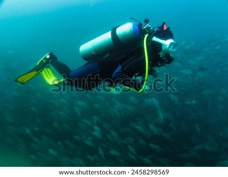 This is a picture of scuba diving in Sabang Beach, Philippines.