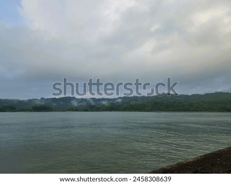 Tropical island with dense forest under cloudy sky