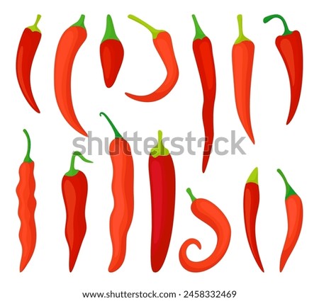 Cartoon chilli peppers. Different red pepper, mexican hot fresh raw ingredient for tasty dishes. Natural spice, vegetables neoteric vector set