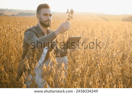Farmer agronomist on a soybean field. Agricultural industry