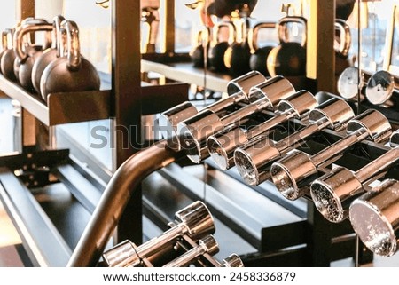 Modern light interior in gym. Sports equipment in health club. Dumbbells on rack in fitness and workout room. Concept for exercising, fitness and healthy lifestyle. Selective focus.
