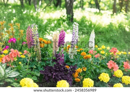 a beautiful, colorful picture of flowers