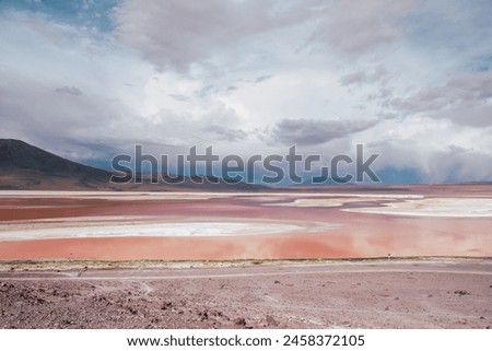Spectacular red lagoon in bolivia Royalty-Free Stock Photo #2458372105