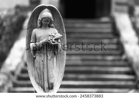 Spiritual angel serving God as a guardian of human beings. Black and white image. Copy space for text or design. 