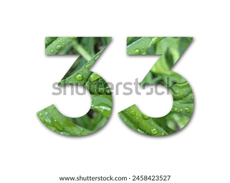 Design number 33 with leaf texture on a white background