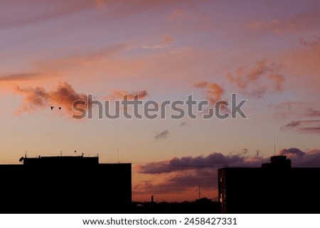 Beautiful sunset sky with birds and buildings in the shadow