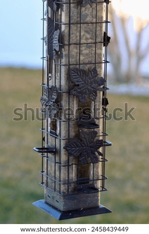 The isolated image of a full bird feeder.