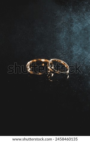 Gold wedding rings for newlyweds. Precious wedding rings for a couple for a wedding