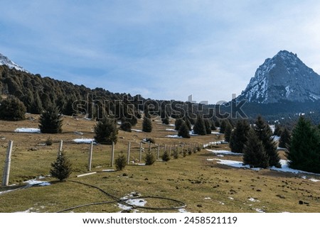 Southern Kyrgyzstan, Alai ridge, mountain and forest views