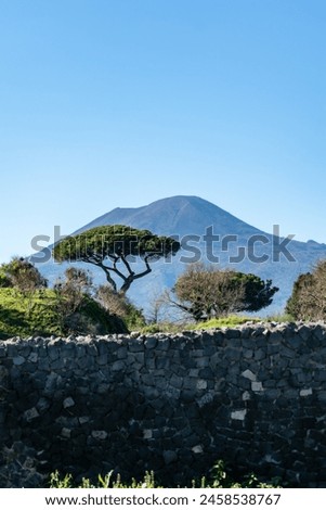This majestic photo captures Mount Vesuvius, the towering volcano that looms over Pompeii, Italy. The lush green tree in the foreground adds a touch of life to the otherwise stark volcanic landscape.
 Royalty-Free Stock Photo #2458538767