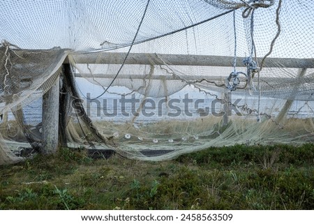 fishing nets and gear are drying on wooden poles on the seashore. evening sun and blue sky. Natural light.