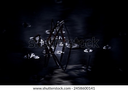 Abstract photography: Water reflections of sun beams and branches of bushes and grass.