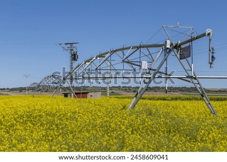 Linear irrigation systems deliver a controlled amount of water directly to crops Royalty-Free Stock Photo #2458609041