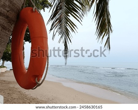 Lifebuoys are hung on coconut trees on the beach.
