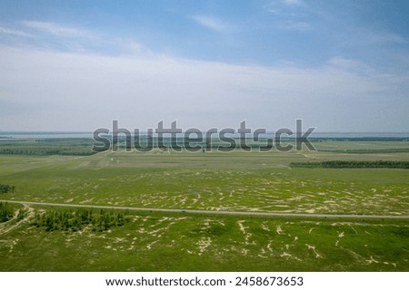 Aerial photography of spring rice fields