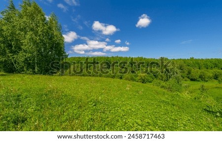 Spring ,  fields, ravines, hills, rural landscape. A deep, narrow gorge with steep slopes. A naturally raised area of ​​land, not as high or craggy as a mountain.