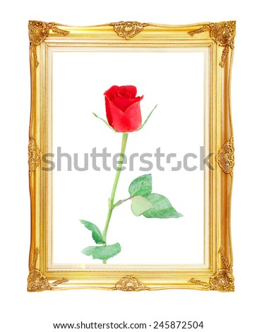 red rose on golden frame with empty  for your picture, photo, image. beautiful vintage background