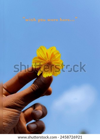 wish you were here ,, Royalty-Free Stock Photo #2458726921
