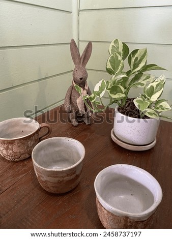 Rabbit with pottery cup when me alone