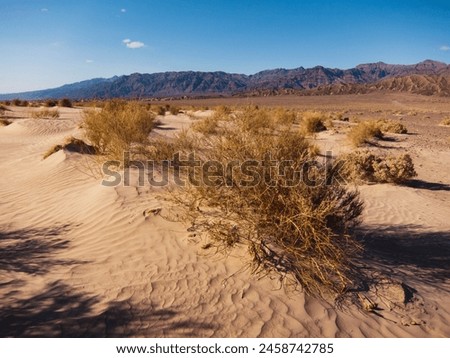 Sand Dunes, Stovepipe Wells, Death Valley Royalty-Free Stock Photo #2458742785