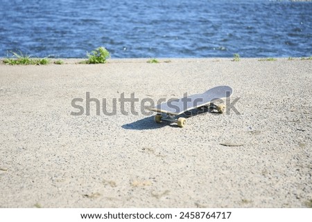 skateboard on a road near river, sunny day