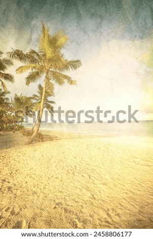 Coconut tree on the sky background. Retro styled picture