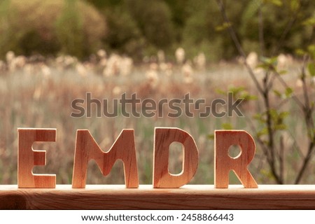 Letters EMDR cut out of wood. Small forest pond with fluffy cattail in blurred background. Eye Movement Desensitization and Reprocessing psychotherapy treatment concept. Royalty-Free Stock Photo #2458866443