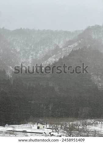 A view of the snow along the road while driving up to northern Japan.