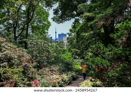 Person in a park with a view of the Toronto skyline through the trees