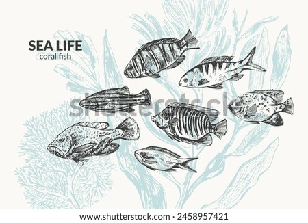 Hand drawn ink coral fish. Sea creatures on light green background with seaweed plants, laminaria, fucus, corals. Sea life poster, nature background.
