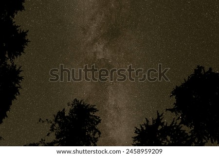 Star-filled night sky with silhouette of trees