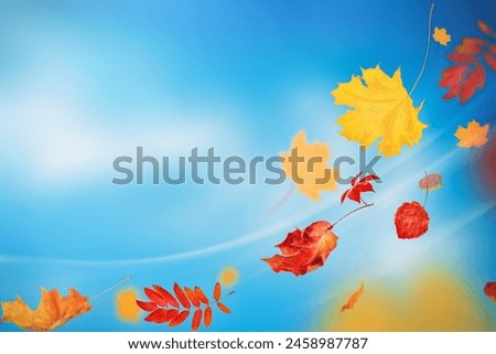 autumn leaves fly with a gust of wind across the sky