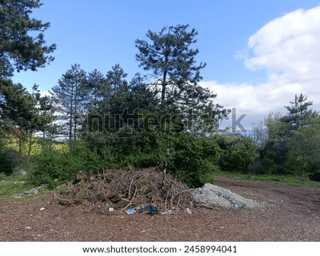 A thought-provoking image depicting environmental pollution along the edge of a forest, juxtaposed with the sky above. Royalty-Free Stock Photo #2458994041