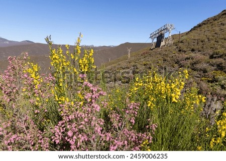 Abandoned steel structure with towers from industrial coal mining cableway in mountains of Asturias Spain in Tormaleo on a sunny spring day with flowers Royalty-Free Stock Photo #2459006235