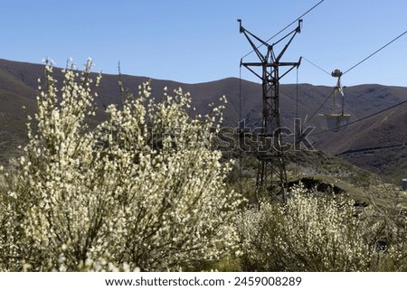 Abandoned industrial coal mining cart on cableway with rusty metal tower with cable on a bright sunny spring day with flower meadow and blue sky Royalty-Free Stock Photo #2459008289