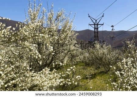 Abandoned industrial coal mining cart on cableway with rusty metal tower with cable on a bright sunny spring day with flower meadow and blue sky Royalty-Free Stock Photo #2459008293