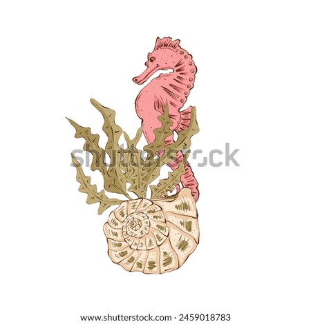 Shell with a bush of algae and a seahorse. Composition of the underwater world. Hand drawn illustration in flat style. Isolated on white background, packaging design, print, textile