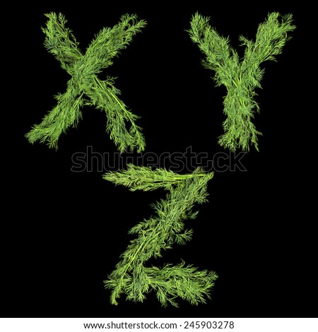 Vegetable Alphabet of sprigs of dill isolated on a black background. Letters X, Y, Z