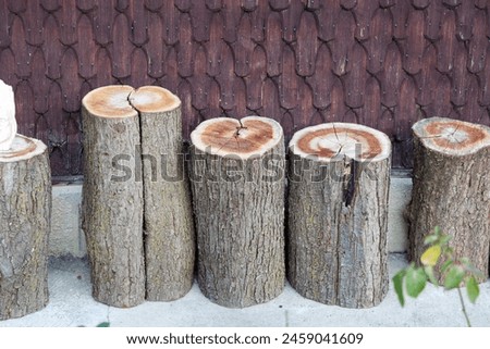 Wooden logs, cut trees, entrance decoration, in the house, stairs, wood, old style, decoration, old, country house, rustic