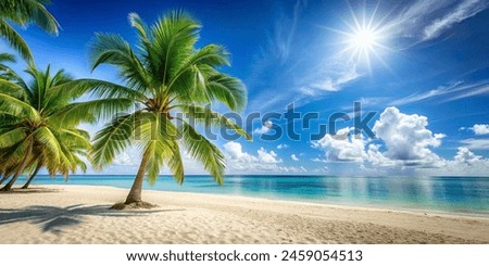 Summer Resort Beach Sea Relax Travel Vacation Palm Tropic Copy Space Banner Background Hotel