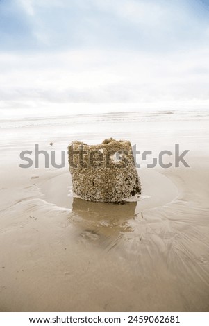 Oregon Coast, Fort Stevens State Park, Peter Iredale Shipwreck Royalty-Free Stock Photo #2459062681