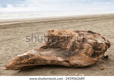 Oregon Coast, Fort Stevens State Park, Peter Iredale Shipwreck Royalty-Free Stock Photo #2459062689