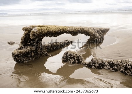 Oregon Coast, Fort Stevens State Park, Peter Iredale Shipwreck Royalty-Free Stock Photo #2459062693