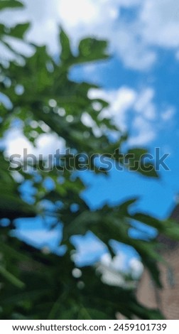 Within the soft blur, a majestic tree stands adorned with lush green foliage, juxtaposed against the backdrop of a cerulean sky adorned with cotton-like clouds, evoking a sense of ethereal tranquilit Royalty-Free Stock Photo #2459101739