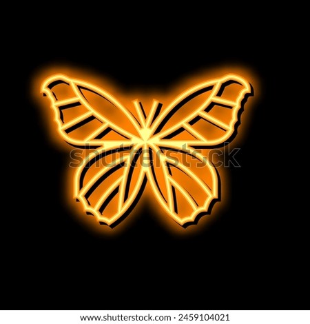 butterfly insect neon light sign vector. butterfly insect illustration