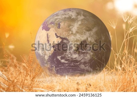 Global warming caused by changing ecosystems Causes negative effects on the life of plants and animals. Pictures of the world from NASA